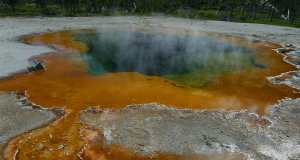 Yellowstone - Mount Rushmore Tour